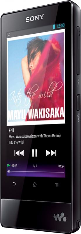 Sony Walkman F NWZ-F806