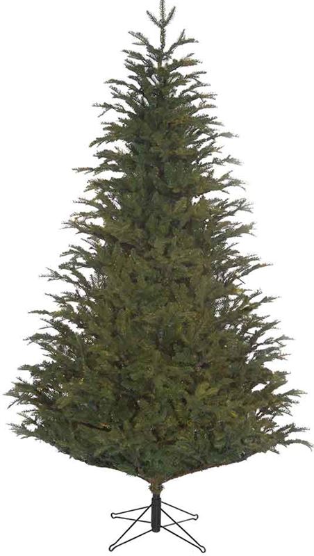 Blackbox kerstboom frasier fir maat in cm 185 x 124 groen