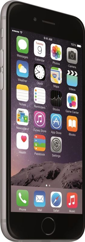 Apple iPhone 6 Plus 16 GB / space grey
