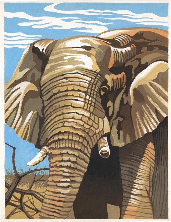 Reeves Schilderen op nummer - elephant