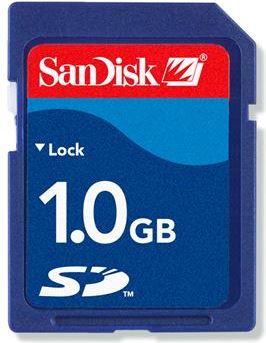 Sandisk SD + Reader (1 GB)