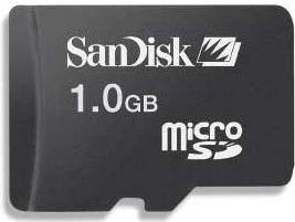 Sandisk MicroSD (1 GB)