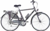Gazelle Medeo AirGlider (heren 2004) 53 cm, cm, 61 cm / heren fietsen kopen? | | Kieskeurig.nl | helpt je kiezen