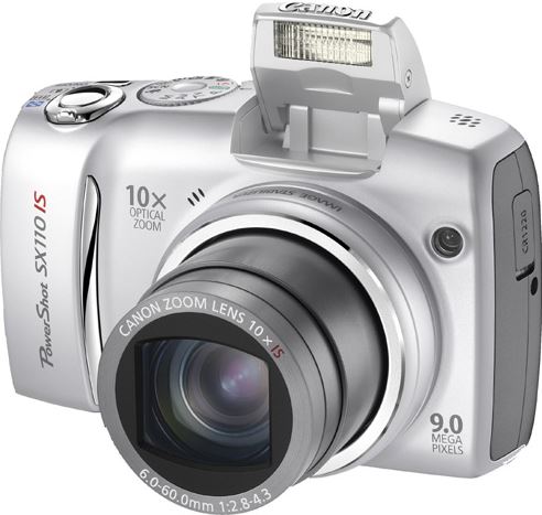 Canon PowerShot PowerShot SX110 IS zilver