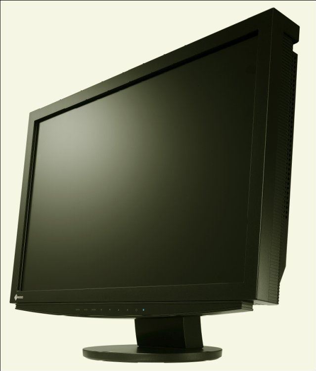 Eizo FlexScan® 24.1" Class Color LCD Monitor