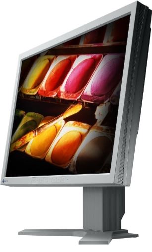 Eizo FlexScan 20.1" LCD