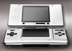 Nintendo DS zilver