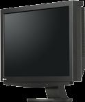 Eizo 21.1" FlexScan® Widescreen LCD