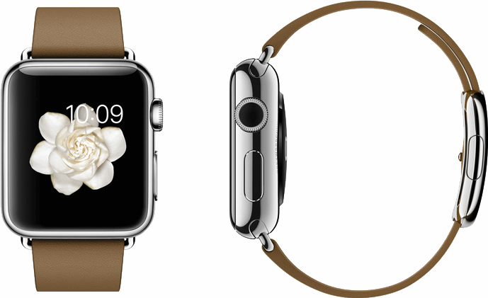 Apple Watch bruin
