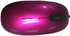 Asus USB Optical Mouse