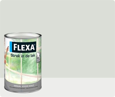banner Eigenaardig diamant FLEXA Strak in de Lak Watergedragen Zijdeglans Aluminium 1 L verf kopen? |  Kieskeurig.nl | helpt je kiezen