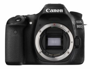 Canon EOS 80D Het Perfecte Plaatje Kit