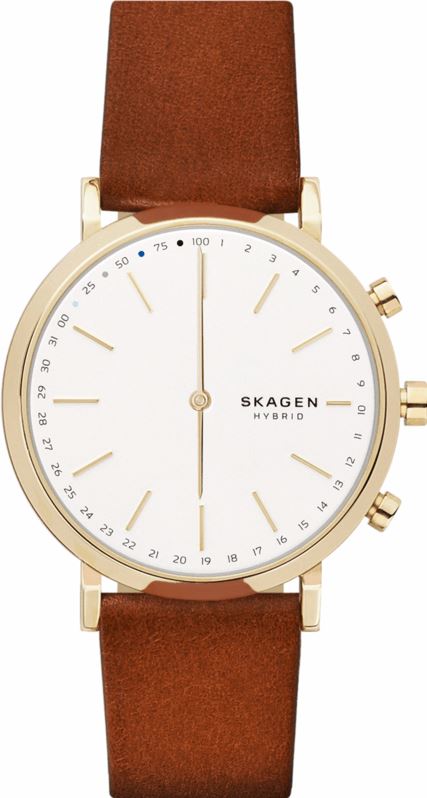 Skagen Connected Hybrid Smartwatch