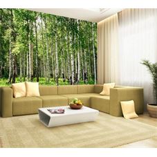 Homedecoration fotobehang, muurposter, berkenbos 350 x 260 cm. art ... Hoe moet ik behangen