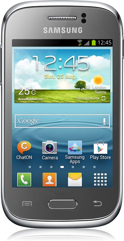 Samsung Galaxy Young 4 GB / grijs