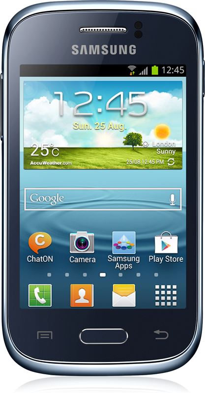Samsung Galaxy Young 4 GB / blauw