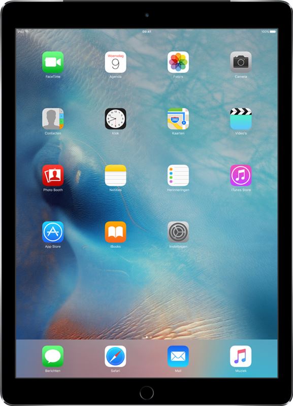 Apple iPad Pro 2016 12,9 inch / grijs / 256 GB / 4G