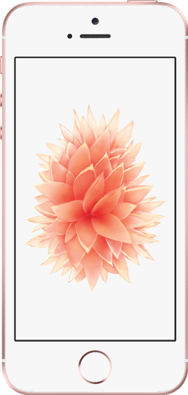 Apple iPhone SE 32 GB / rosé goud