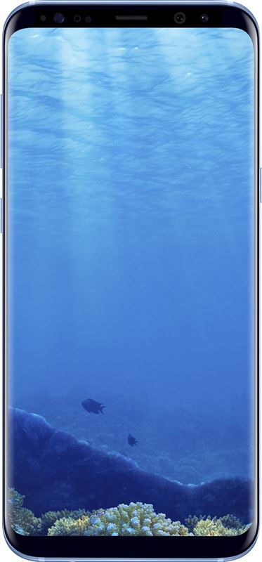 Samsung Galaxy S8+ 64 GB / blauw