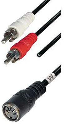 Chirurgie vis Outlook PremiumConnect Adapter kabel Tulp stereo 2RCA mannelijk met aarde naar DIN  5pins vrouwelijk - 0,20 meter kabel (overig) kopen? | Kieskeurig.nl | helpt  je kiezen