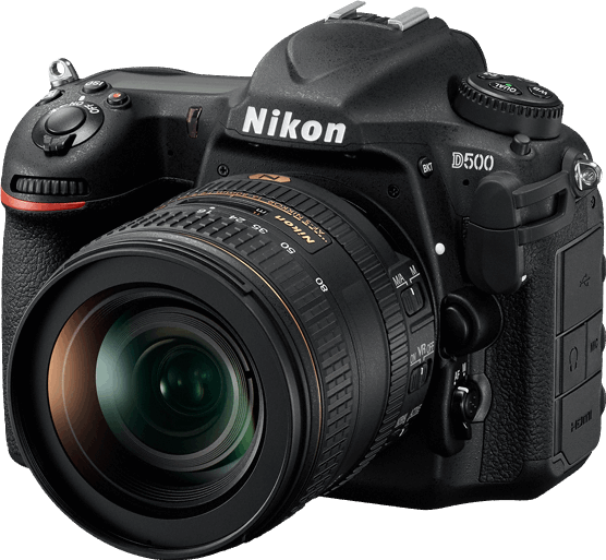 Nikon D500 + AF-S Nikkor 16-80mm zwart