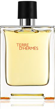 Hermès Terre d'Hermès eau de toilette / 100 ml / heren