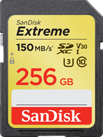 Sandisk Exrteme 256 GB