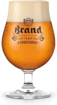 zingen Schat milieu Brandt tulp speciaal bierglazen - 30 cl - 6 stuks Leuk als cadeau of voor  de liefhebber zelf | Prijzen vergelijken | Kieskeurig.nl