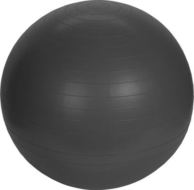 Winst Kan worden berekend foto XQMAX Fitnessbal Inclusief Pomp 55 Cm Zwart fitnessbal kopen? |  Kieskeurig.be | helpt je kiezen