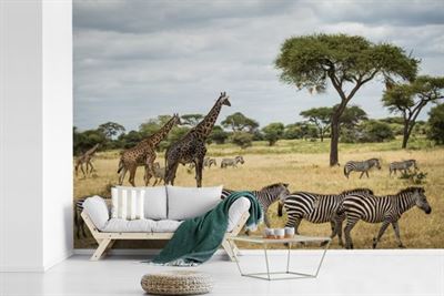 Muchowow Fotobehang Vinyl Giraffen En Zebras Samen Op De Savannes Van Het Nationaal Park Serengeti Breedte