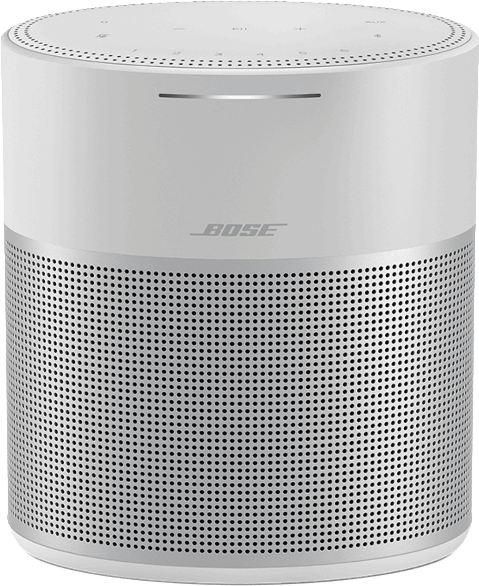 Bose Home Speaker 300 grijs
