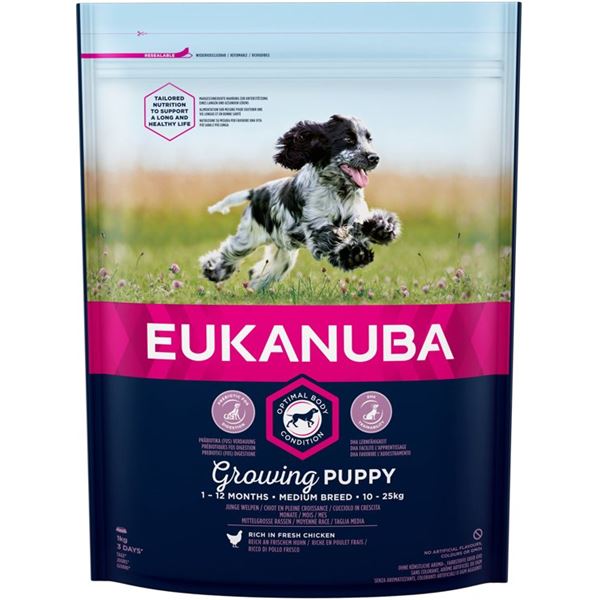 leerboek Belachelijk Gom EUKANUBA Puppy&Junior Medium Breed – Hondenvoer – 1kg | Vergelijk alle  prijzen
