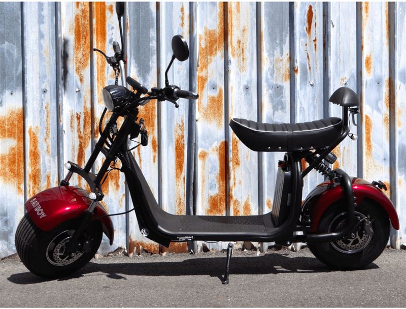 Fatboy Citycoco Elektrische Smart E Scooter Harley 8 1500W 20Ah