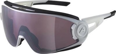Generaliseren Stevenson Respect Alpina 5W1NG Q+CM Glasses, white matt | Prijzen vergelijken | Kieskeurig.nl