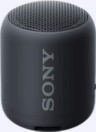 sony srsxb 12