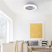 PAUL NEUHAUS Design plafondventilator grijs incl. LED - Maki