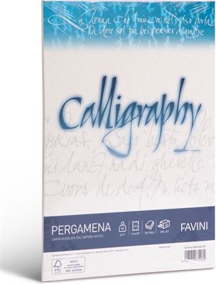 toelage Toestemming gezagvoerder Favini Perkament 50 vel A4 90 g/m2 inkjet kleur Naturel PERGAMENA  Calligraphy Naturale 06 huishoudelijk (overig) kopen? | Kieskeurig.be |  helpt je kiezen