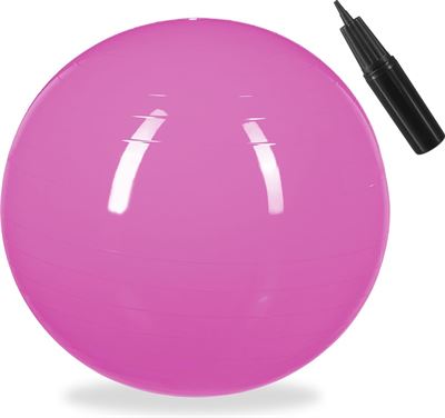 Verplicht China Onbevreesd Relaxdays fitnessbal 55 cm - met pompje - gymbal - zitbal - yogabal -  pilatesbal - PVC roze fitnessbal kopen? | Kieskeurig.be | helpt je kiezen