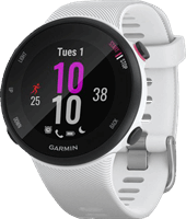 Garmin Forerunner 45S