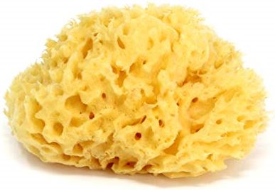roltrap Behandeling Goed OK Baby Honeycomb spons- Natuurlijke spons uit de Middellandse Zee voor  baby's badje, ultra zacht, ideaal voor de delicate huid - maat 10 washandje  kopen? | Kieskeurig.be | helpt je kiezen