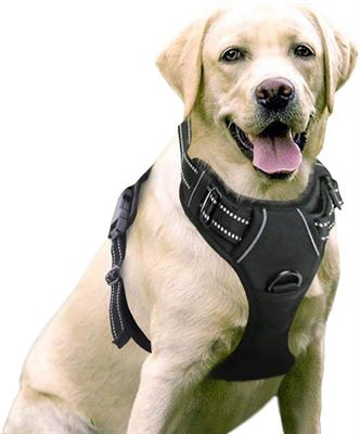Sharon B Hondentuigje voor kleine honden - Zwart - maat S - No pull - Anti trek - Reflecterend - Hoeft niet over het hoofd aangetrokken te worden | Prijzen vergelijken |