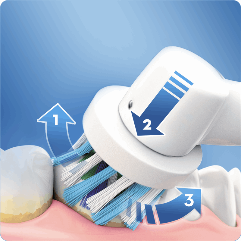bevind zich Om toevlucht te zoeken Punt Oral-B PRO 600 Cross Action - BOX Elektrische Tandenborstel wit, blauw |  Prijzen vergelijken | Kieskeurig.nl