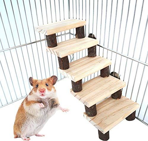 Lee hoed Accommodatie LuukUP Houten Hamster Kruipende Ladder, 5 Lagen Natuurlijk Hout Hamster  Ladder, Voor Hamsters, Papegaaien, Kleine Medium Dieren, Kooi Accessoires  (B) Stoel kopen? | Kieskeurig.nl | helpt je kiezen