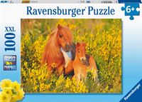 Ravensburger 13283 Shetland Pony 100-delige puzzel voor kinderen vanaf 6 jaar, veelkleurig