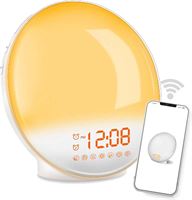 DistinQ Wake-Up Light – Wifi Smart – Wekkerradio met dubbele wektijd – Slaaphulp met USB aansluiting