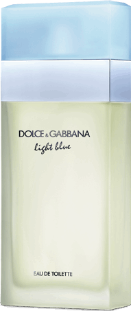 Dolce & Gabbana Light Blue eau de toilette / 100 ml / dames