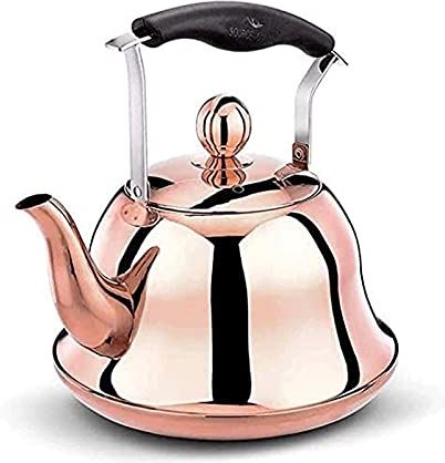 OOOFFFFFFFF Tea Kettle teapot Stainless Steel Teapot Fast Boil Easy to Clean for Gas All Cookware