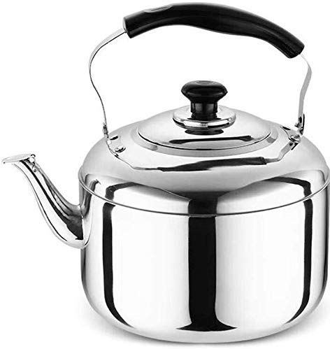 OOOFFFFFFFF Classic Dome Whistle Gas Kettle Stainless Steel Household Large Capacity Natural Gas Stove Kettle Coffee Pot Teapot (Color : 5L) (4l)