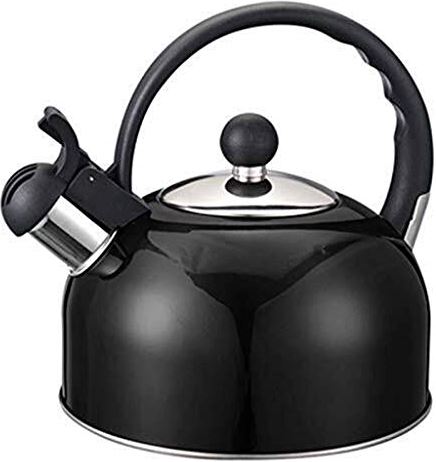 OOOFFFFFFFF Whistling Gas Kettle Stainless Steel Electric Kettle Induction Cooker Camping Kettle Stove Gas Teapot Coffee Pot (Color : Black)