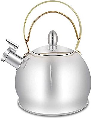 OOOFFFFFFFF hot Water Kettle Electric Stainless Steel Gas Kettle Large Capacity Natural Gas Kettle Gas Induction Cooker Universal Hot Water Bottle 3L The Best Choice for Kitchen Appliances